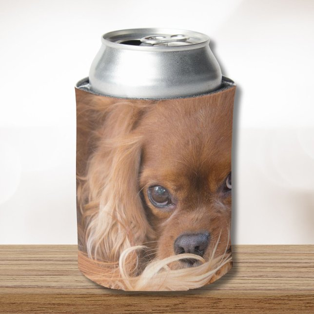  Ruby Cavalier King Charles Spaniel Can Cooler (Creator Uploaded)