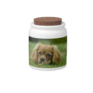 Ruby Cavalier King Charles Spaniel Candy Jar