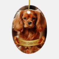 Ruby Cavalier King Charles Spaniel