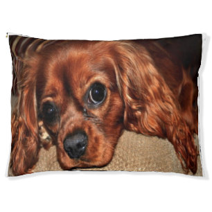 Ruby Cavalier King Charles Spaniel Cozy Dog Bed