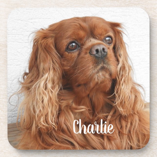 Ruby Cavalier King Charles Spaniel Dog Beverage Coaster (Front)