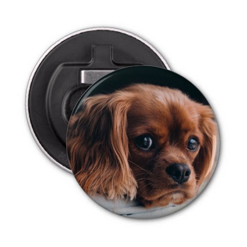 Ruby Cavalier King Charles Spaniel Dog Bottle Opener