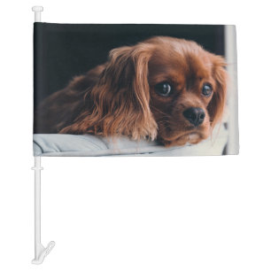 Ruby Cavalier King Charles Spaniel Dog Car Flag