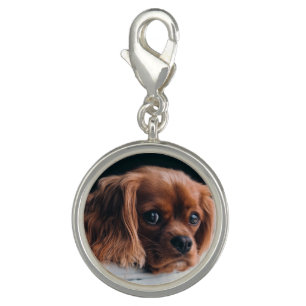 Ruby Cavalier King Charles Spaniel Dog Charm