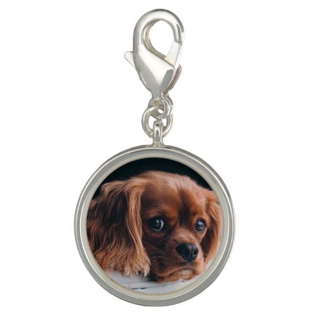 Ruby Cavalier King Charles Spaniel Dog Charm (Front)