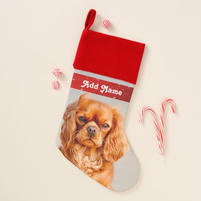 Ruby Cavalier King Charles Spaniel Dog Christmas S Stocking (Front)