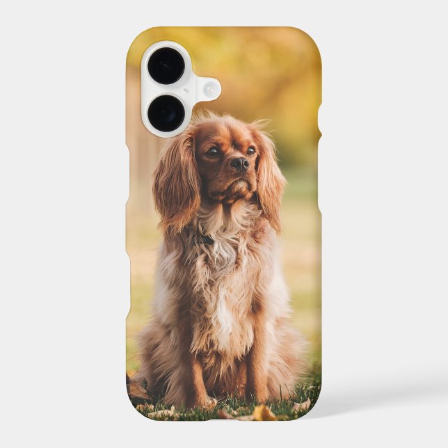 Ruby Cavalier King Charles Spaniel Dog Iphone Case (Back)