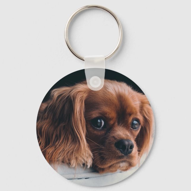 Ruby Cavalier King Charles Spaniel Dog Keychain (Front)