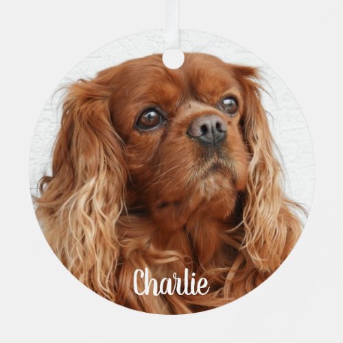 Ruby Cavalier King Charles Spaniel Dog Metal Ornament