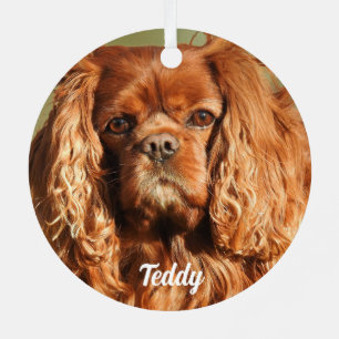 Ruby Cavalier King Charles Spaniel Dog Metal Ornament