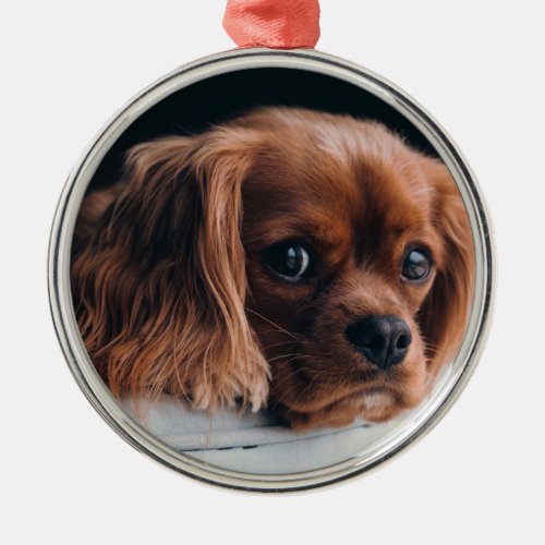 Ruby Cavalier King Charles Spaniel Dog Metal Ornament