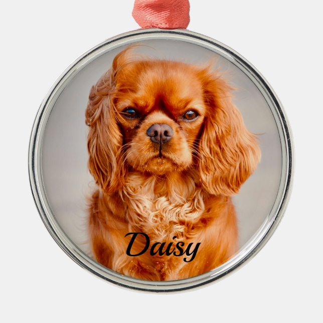Ruby Cavalier King Charles Spaniel Dog Metal Ornament (Front)