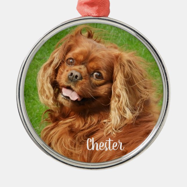 Ruby Cavalier King Charles Spaniel Dog Metal Ornament (Front)