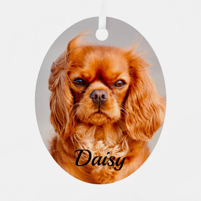 Ruby Cavalier King Charles Spaniel Dog Metal Ornament (Front)