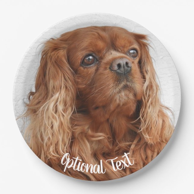 Ruby Cavalier King Charles Spaniel Dog Paper Plates (Front)