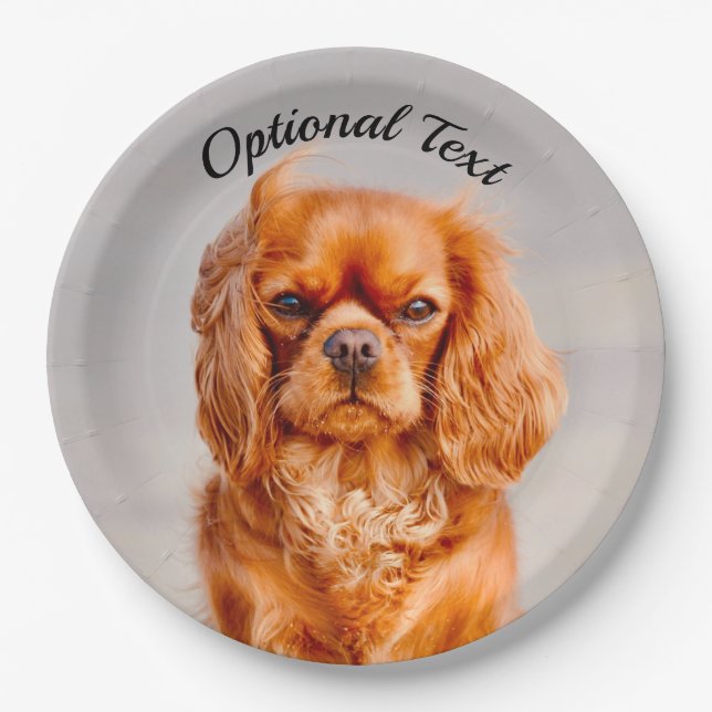 Ruby Cavalier King Charles Spaniel Dog Paper Plates (Front)