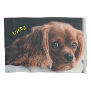 Ruby Cavalier King Charles Spaniel Dog Pillow Case