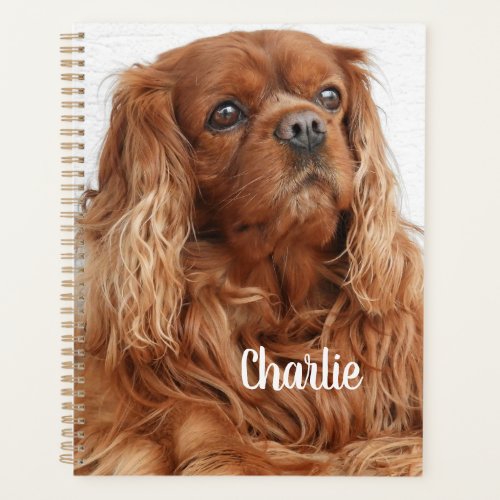 Ruby Cavalier King Charles Spaniel Dog Planner