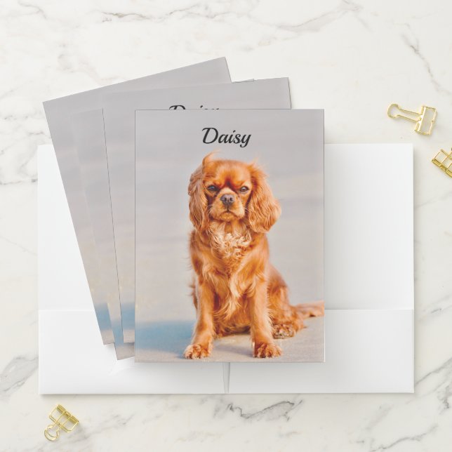 Ruby Cavalier King Charles Spaniel Dog Pocket Folder (In Situ)