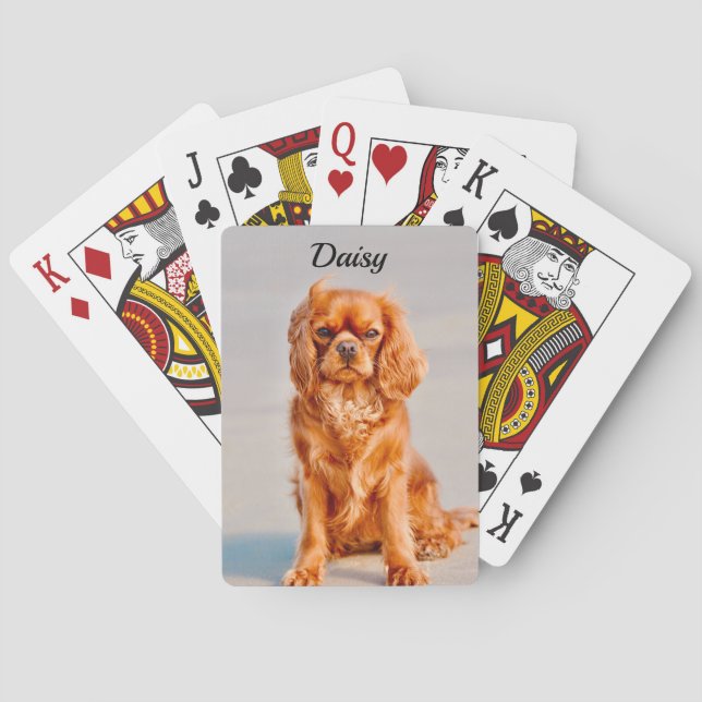 Ruby Cavalier King Charles Spaniel Dog Poker Cards (Back)