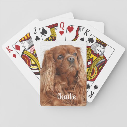 Ruby Cavalier King Charles Spaniel Dog Poker Cards