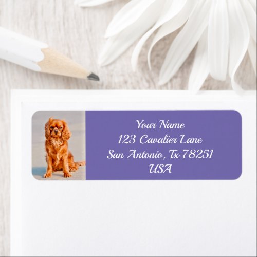 Ruby Cavalier King Charles Spaniel Dog Return Label