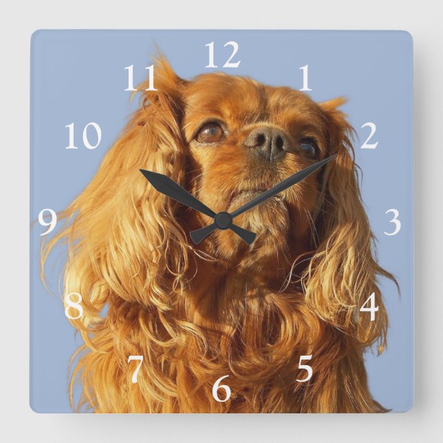 Ruby Cavalier King Charles Spaniel Dog Square Wall Clock (Front)