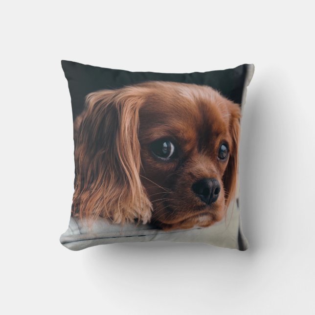 Ruby Cavalier King Charles Spaniel Dog Throw Pillow (Front)