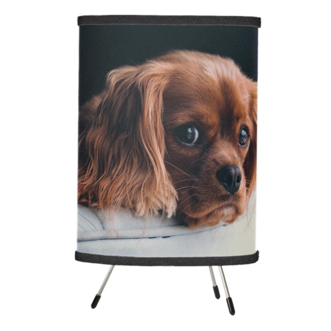 Ruby Cavalier King Charles Spaniel Dog Tripod Lamp (Right)