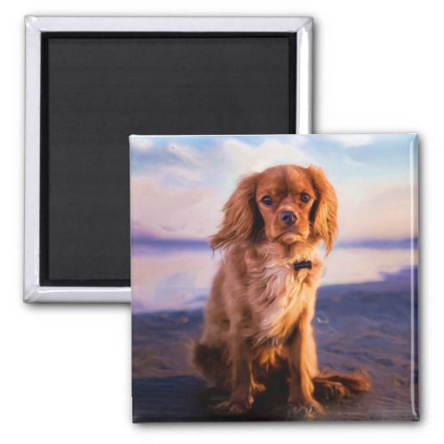 Ruby Cavalier King Charles Spaniel in the sunset Magnet