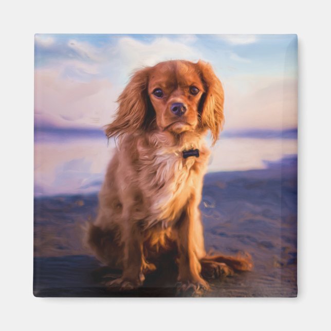 Ruby Cavalier King Charles Spaniel in the sunset Magnet (Front)
