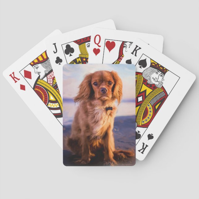 Ruby Cavalier King Charles Spaniel in the sunset Poker Cards (Back)