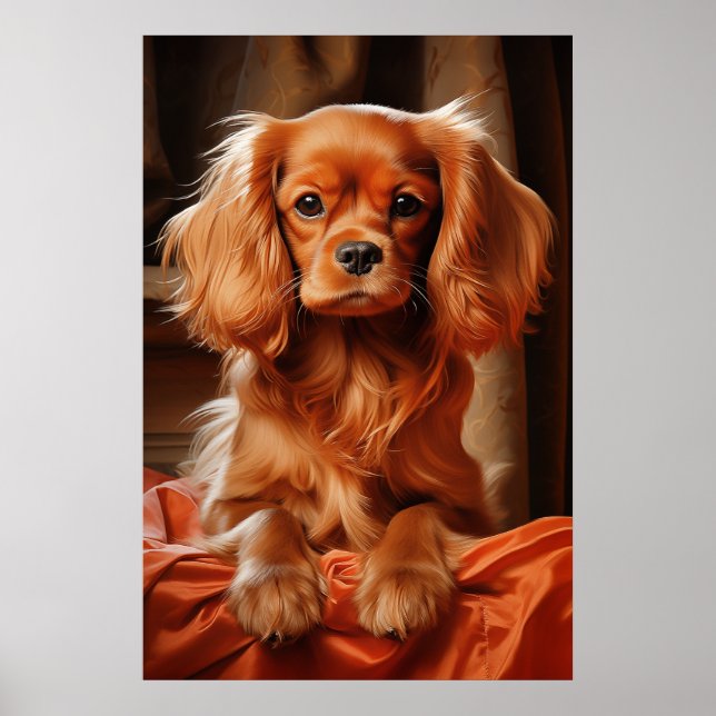 Ruby Cavalier King Charles Spaniel Poster (Front)