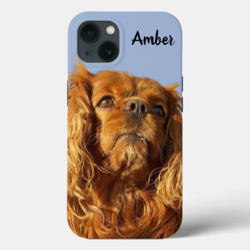 Ruby Cavalier King Charles Spaniel Puppy Dog Blue iPhone 13 Case
