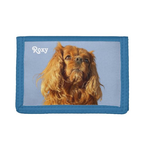 Ruby Cavalier King Charles Spaniel Puppy Dog Blue Trifold Wallet