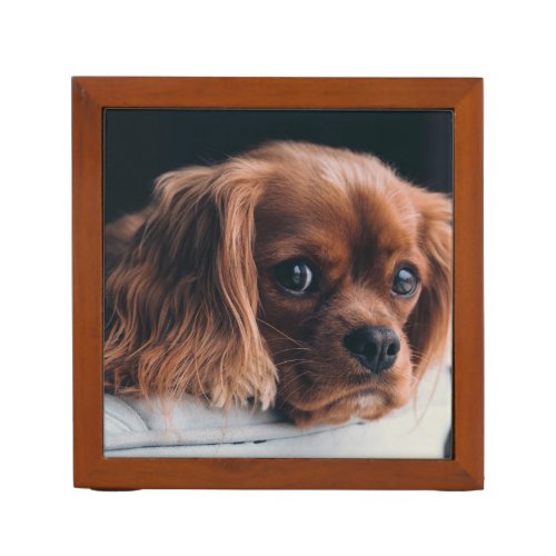 Ruby Cavalier King Charles Spaniel Puppy Dog Desk Organizer