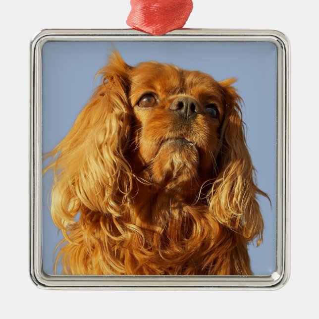 Ruby Cavalier King Charles Spaniel Puppy Dog Metal Ornament (Front)