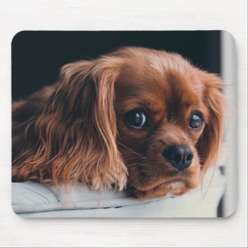 Ruby Cavalier King Charles Spaniel Puppy Dog Mouse Pad