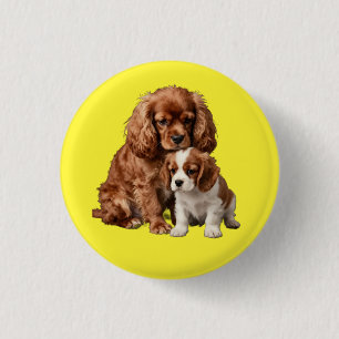 Ruby Cavalier Spaniel and her Blenheim puppy Button