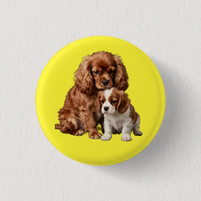 Ruby Cavalier Spaniel and her Blenheim puppy Button (Front)