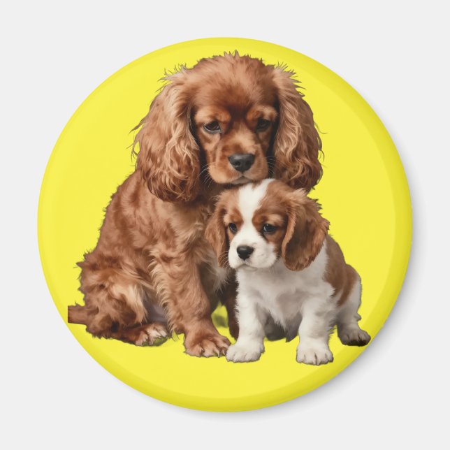 Ruby Cavalier Spaniel and her Blenheim puppy Magnet (Front)