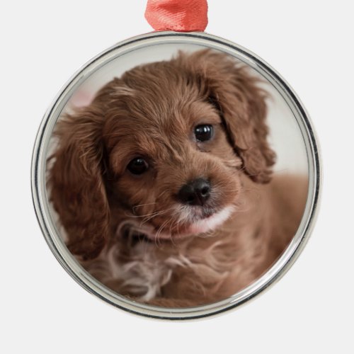 Ruby Cavapoo Puppy Dog Metal Ornament