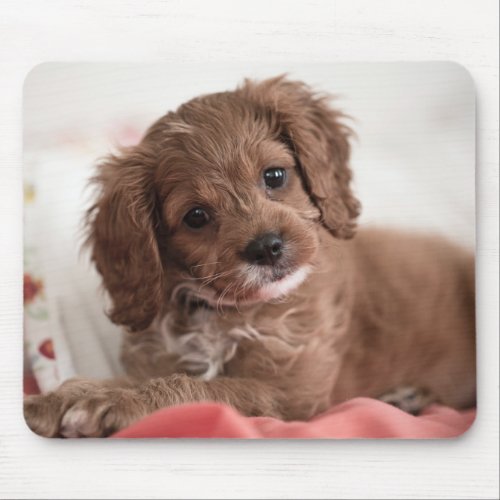 Ruby Cavapoo Puppy Dog Mouse Pad