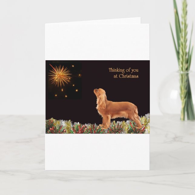 Ruby Christmas Cavalier Holiday Card (Front)