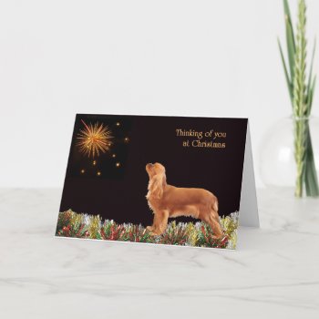 Ruby Christmas Cavalier Holiday Card by JennyBrice at Zazzle