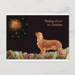 Ruby Christmas Cavalier Holiday Postcard at Zazzle