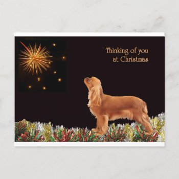 Ruby Christmas Cavalier Holiday Postcard by JennyBrice at Zazzle