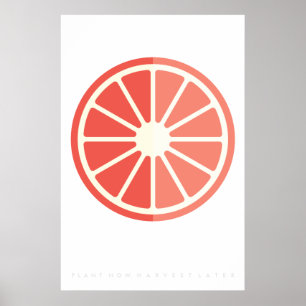 Ruby Citrus Retro Fruit Poster 60's 70's Quote