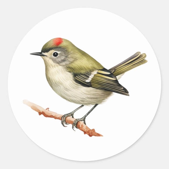 Ruby-crowned Kinglet Bird Stickers (Front)
