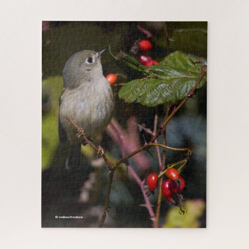 Ruby_Crowned Kinglet Songbird on Hawthorn Bush Jigsaw Puzzle